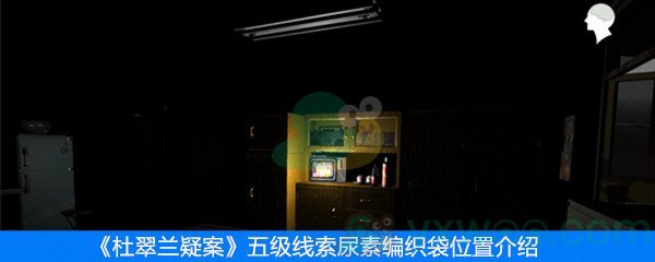 《杜翠兰疑案》五级线索尿素编织袋位置介绍