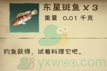 《创造与魔法》东星斑鱼作用解析