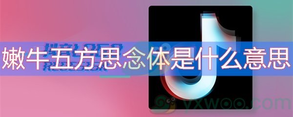 嫩牛五方思念体是什么意思