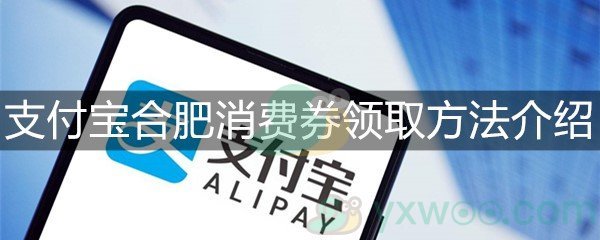 支付宝合肥消费券领取方法介绍