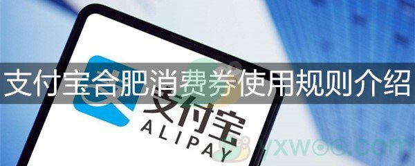 支付宝合肥消费券使用规则介绍