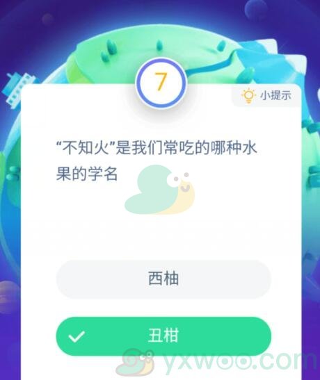 “不知火”是我们常吃的哪种水果的学名？