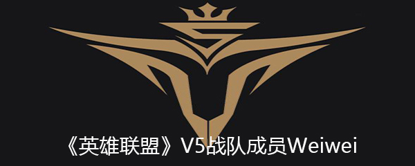 《英雄联盟》V5战队成员Weiwei个人资料