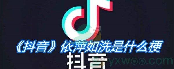 《抖音》依萍如洗是什么梗