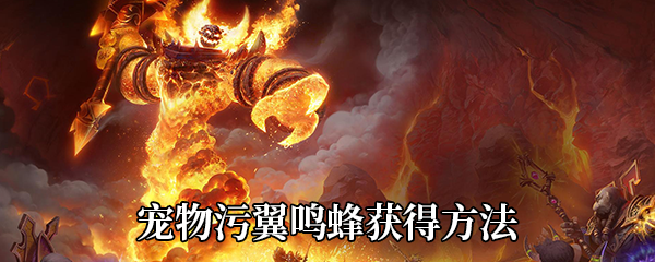 《魔兽世界》9.0宠物污翼鸣蜂获得方法