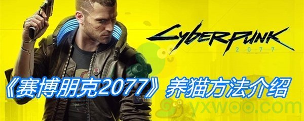 《赛博朋克2077》养猫方法介绍