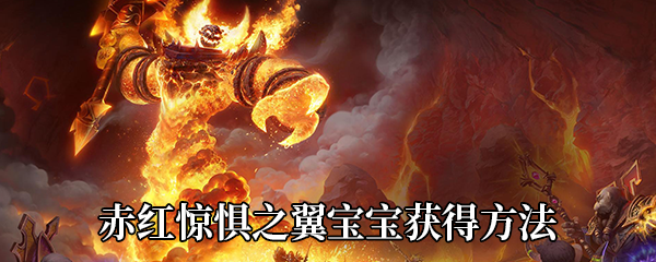 《魔兽世界》9.0赤红惊惧之翼宝宝获得方法