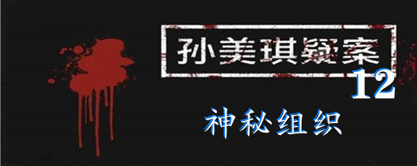 《孙美琪疑案:12》五级线索神秘组织