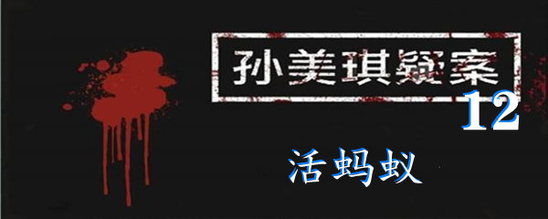 《孙美琪疑案:12》五级线索活蚂蚁