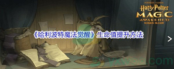 《哈利波特魔法觉醒》生命值提升方法