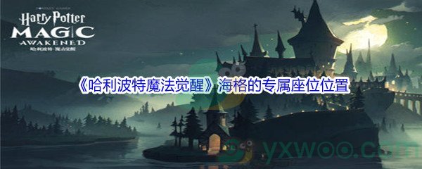 《哈利波特魔法觉醒》海格的专属座位位置介绍