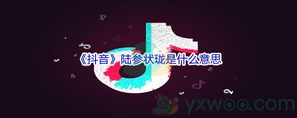 《抖音》陆参状珑是什么意思