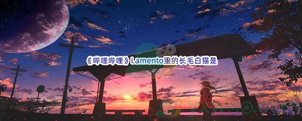 《哔哩哔哩》Lamento里的长毛白猫是