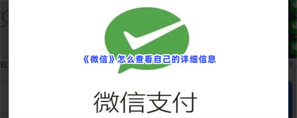 《微信》怎么查看自己的详细信息