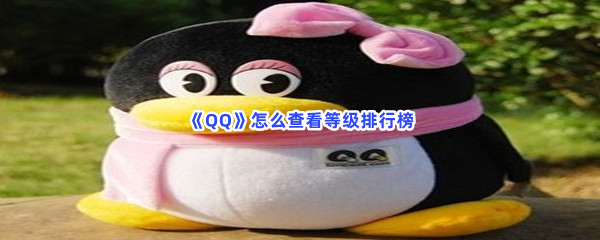 《QQ》怎么查看等级排行榜