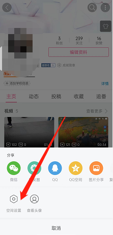 《哔哩哔哩》怎么公开追番数据