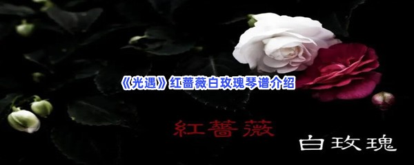 《光遇》红蔷薇白玫瑰琴谱介绍