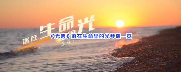 《光遇》落在生命里的光琴谱一览