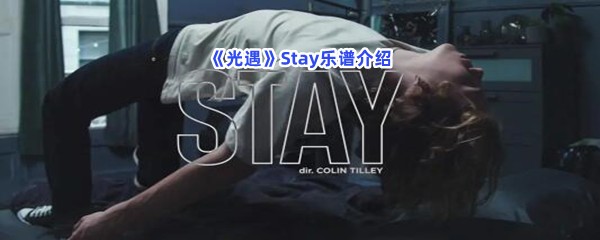 《光遇》Stay乐谱介绍