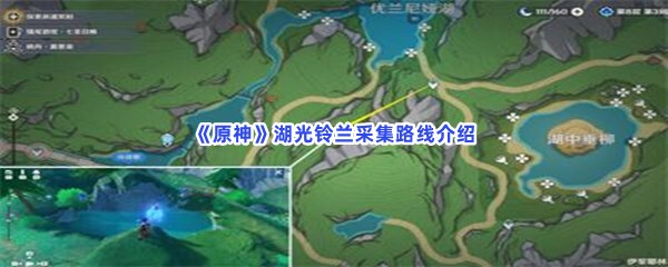 《原神》湖光铃兰采集路线介绍