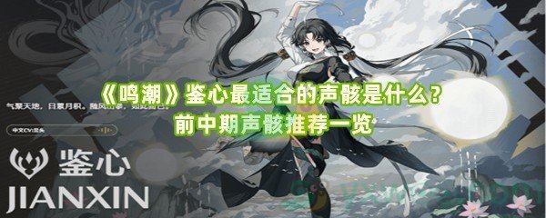 《鸣潮》鉴心最适合的声骸是什么？前中期声骸推荐一览