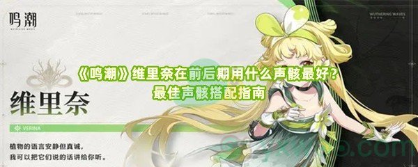 《鸣潮》维里奈在前后期用什么声骸最好？最佳声骸搭配指南