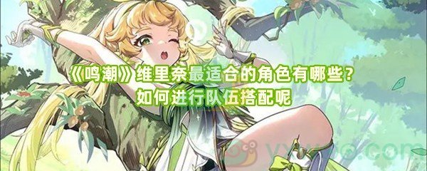 《鸣潮》维里奈最适合的角色有哪些？如何进行队伍搭配呢