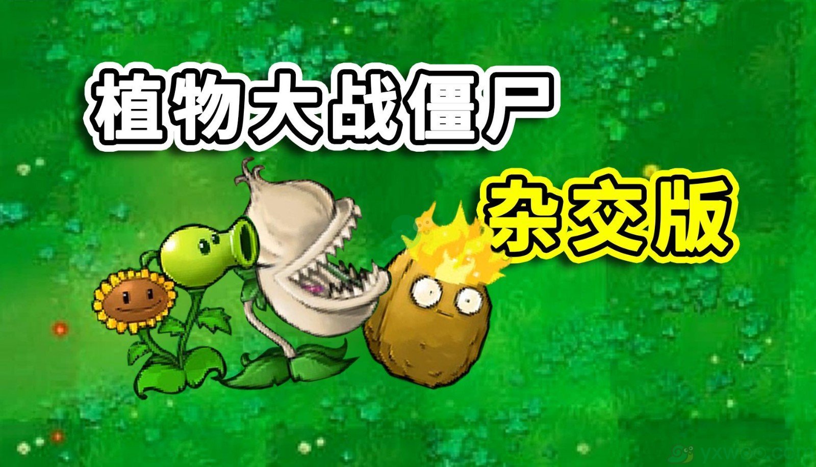 《植物大战僵尸杂交版2.1版本》常见问题有哪些？如何才能解决呢