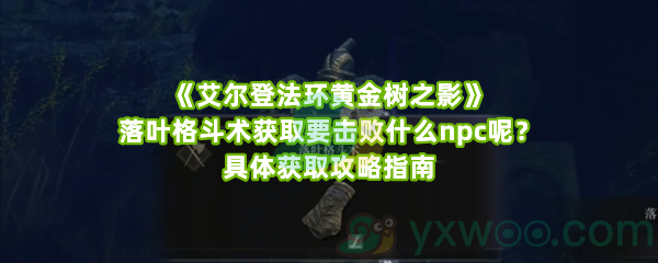 《艾尔登法环黄金树之影》落叶格斗术获取要击败什么npc呢？具体获取攻略指南